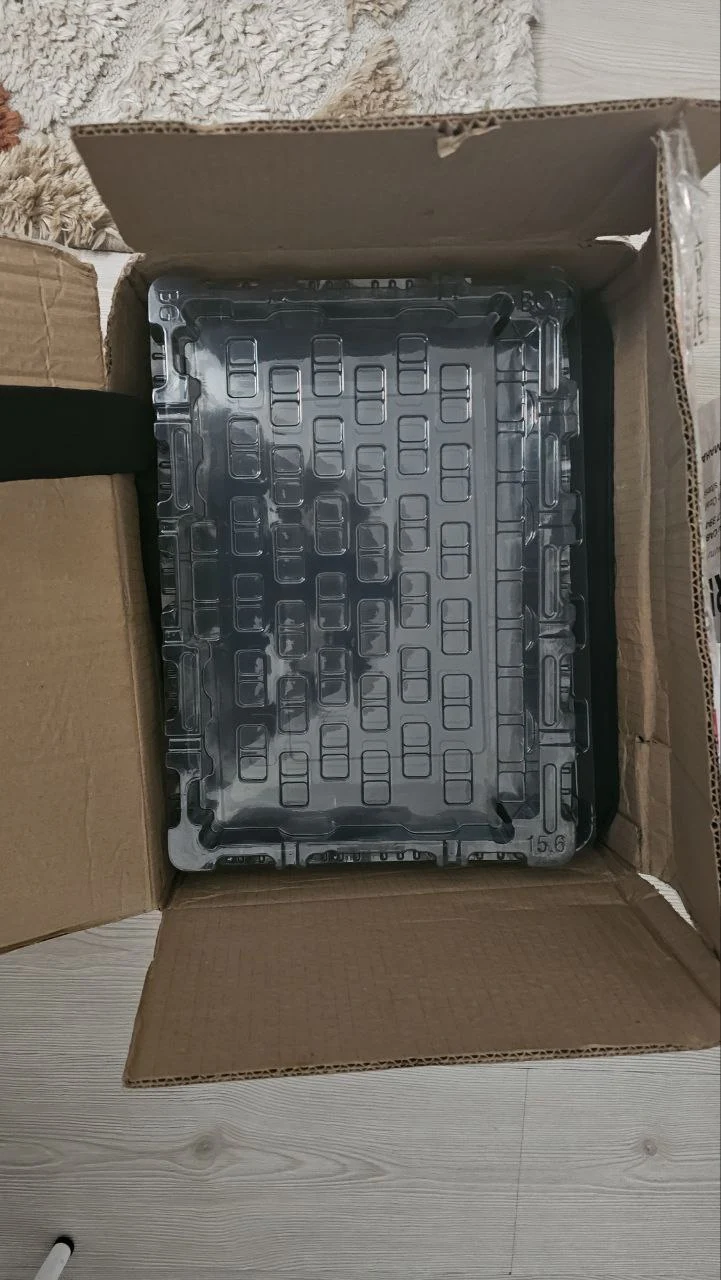 çanta ve plastik.webp