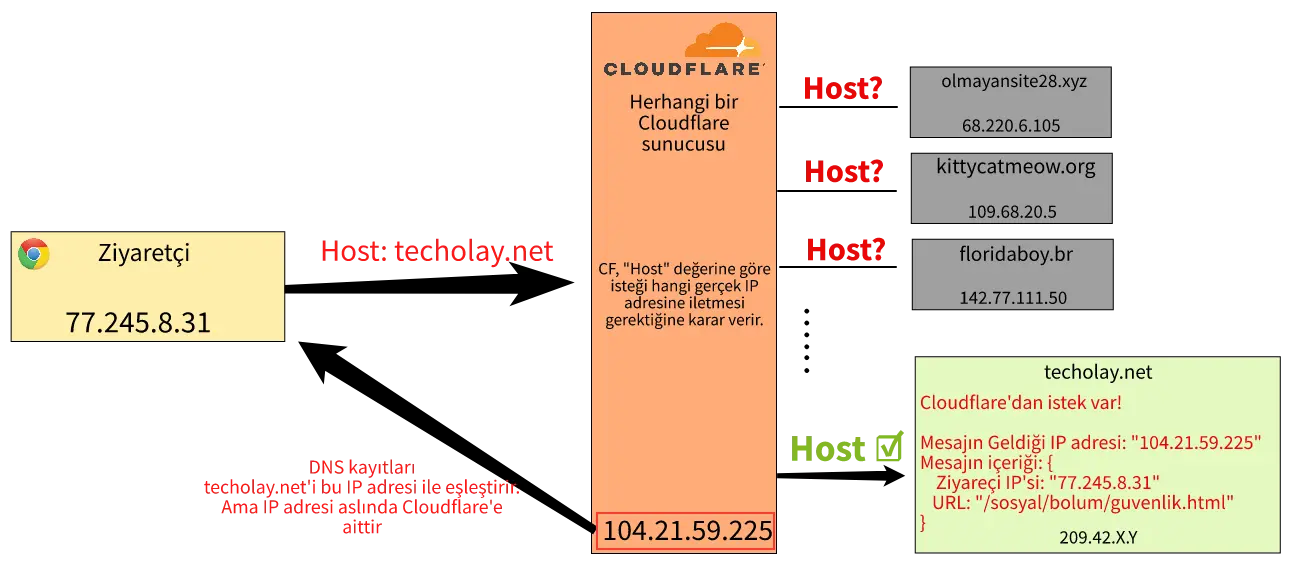 cf1.webp