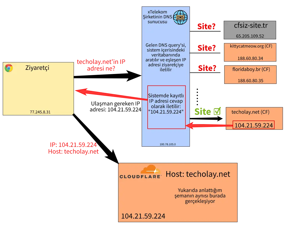cf2.webp