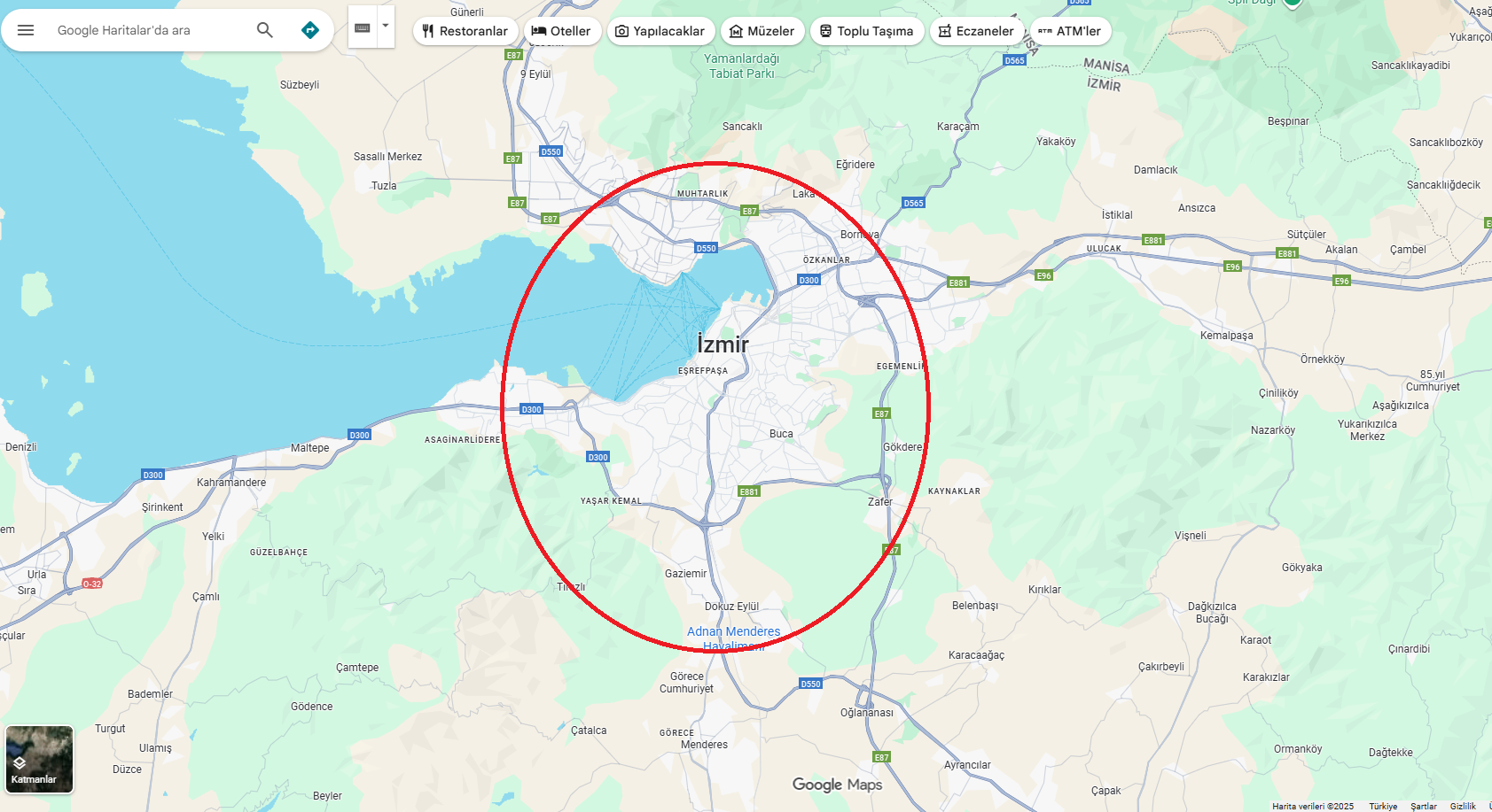cingen.webp