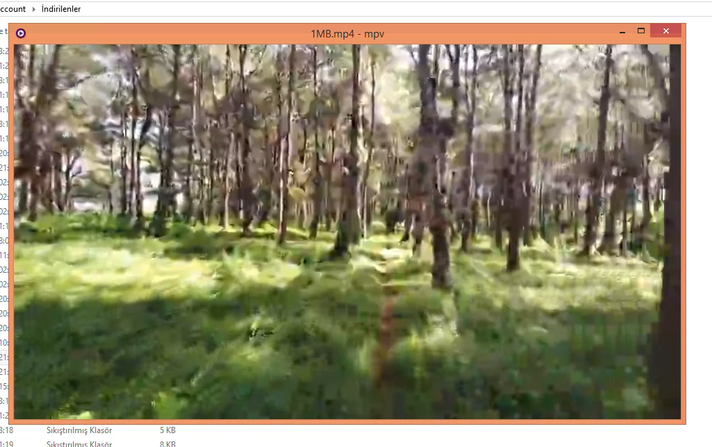coav2rc.webp