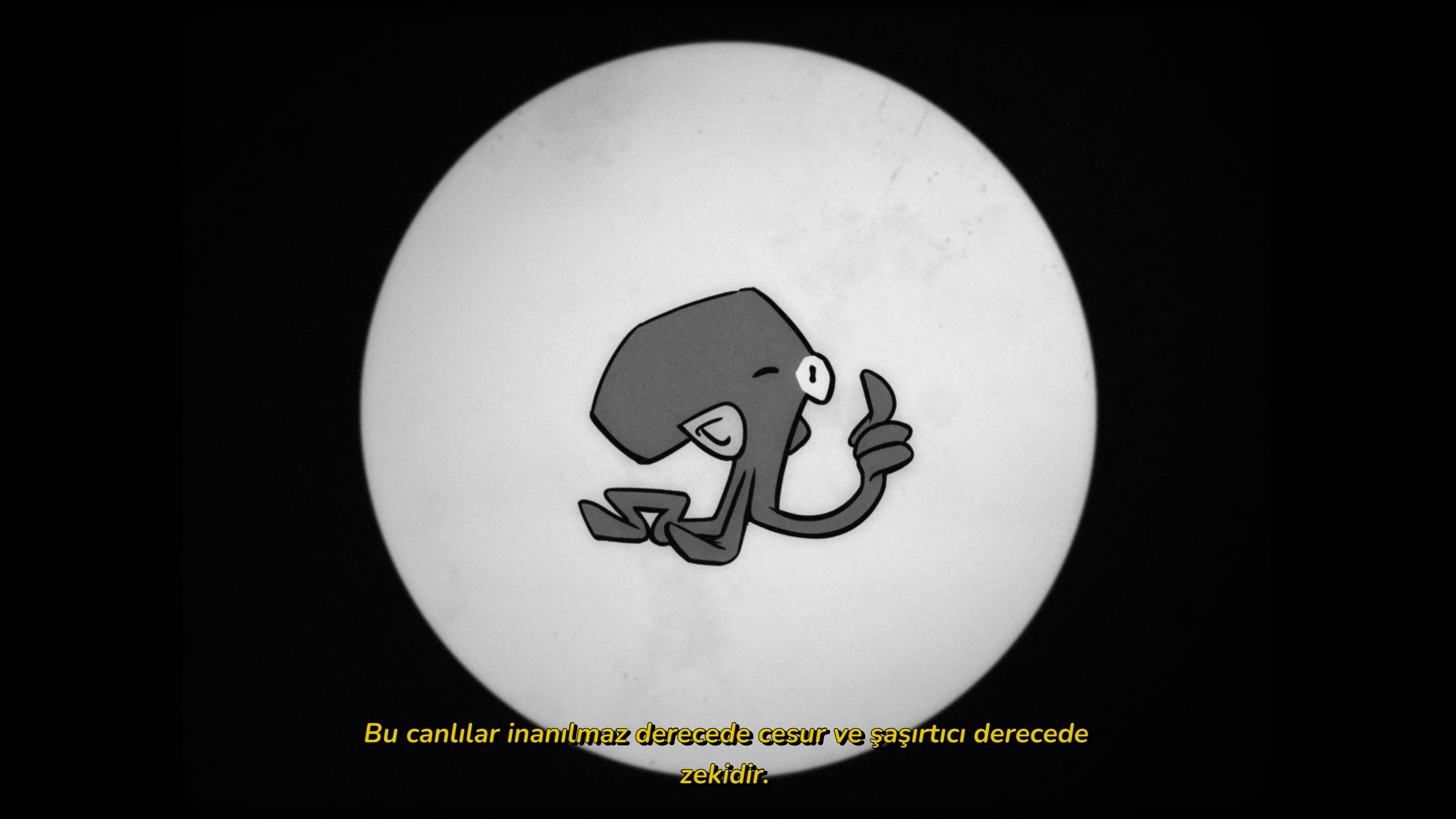 Darwins Paradox Calypso4.webp