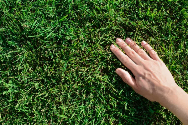 depositphotos_607148294-stock-photo-woman-touching-fresh-grass-green.webp
