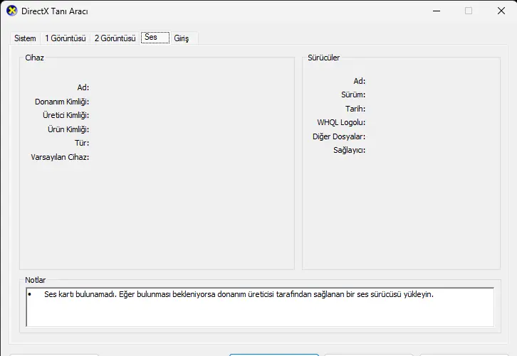 DirectX Tanı Aracı 1.01.2025 07_18_04.webp