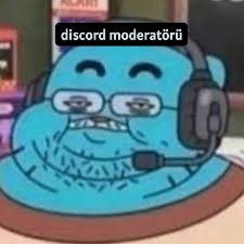 discord mod.webp