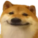 doggo.webp