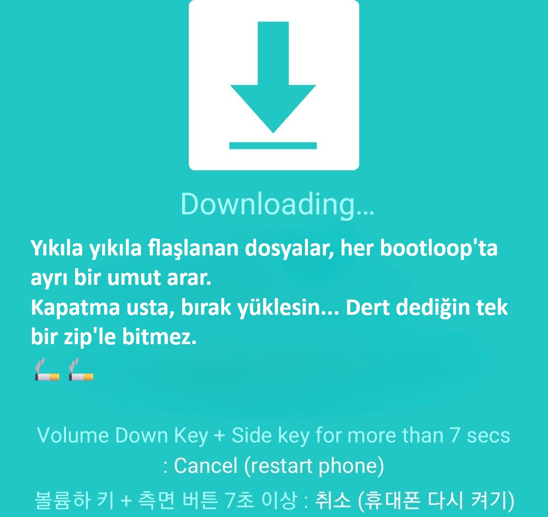 download1.webp