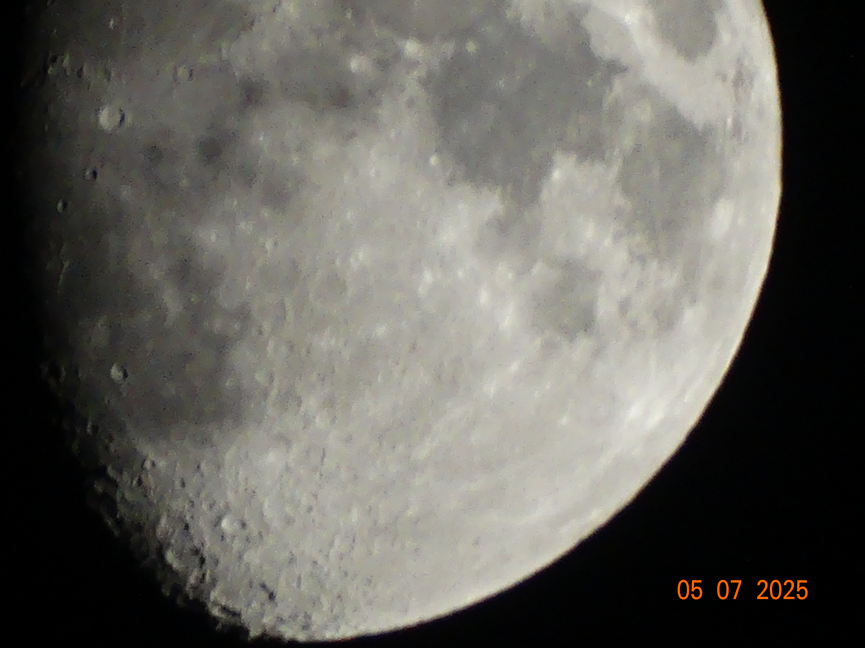 DSC00085.webp