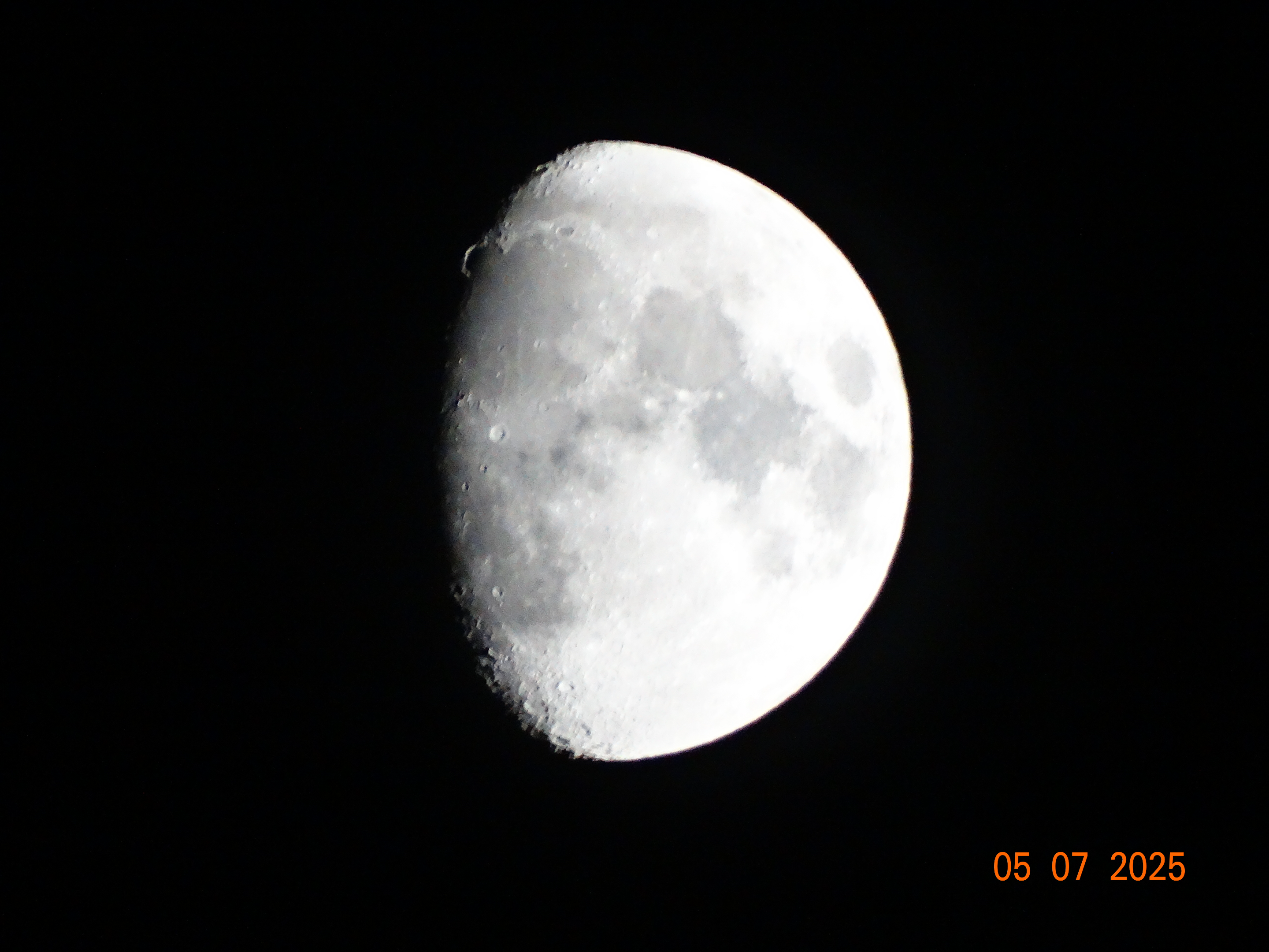 DSC00086.webp