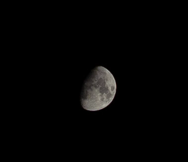 DSC00308.webp