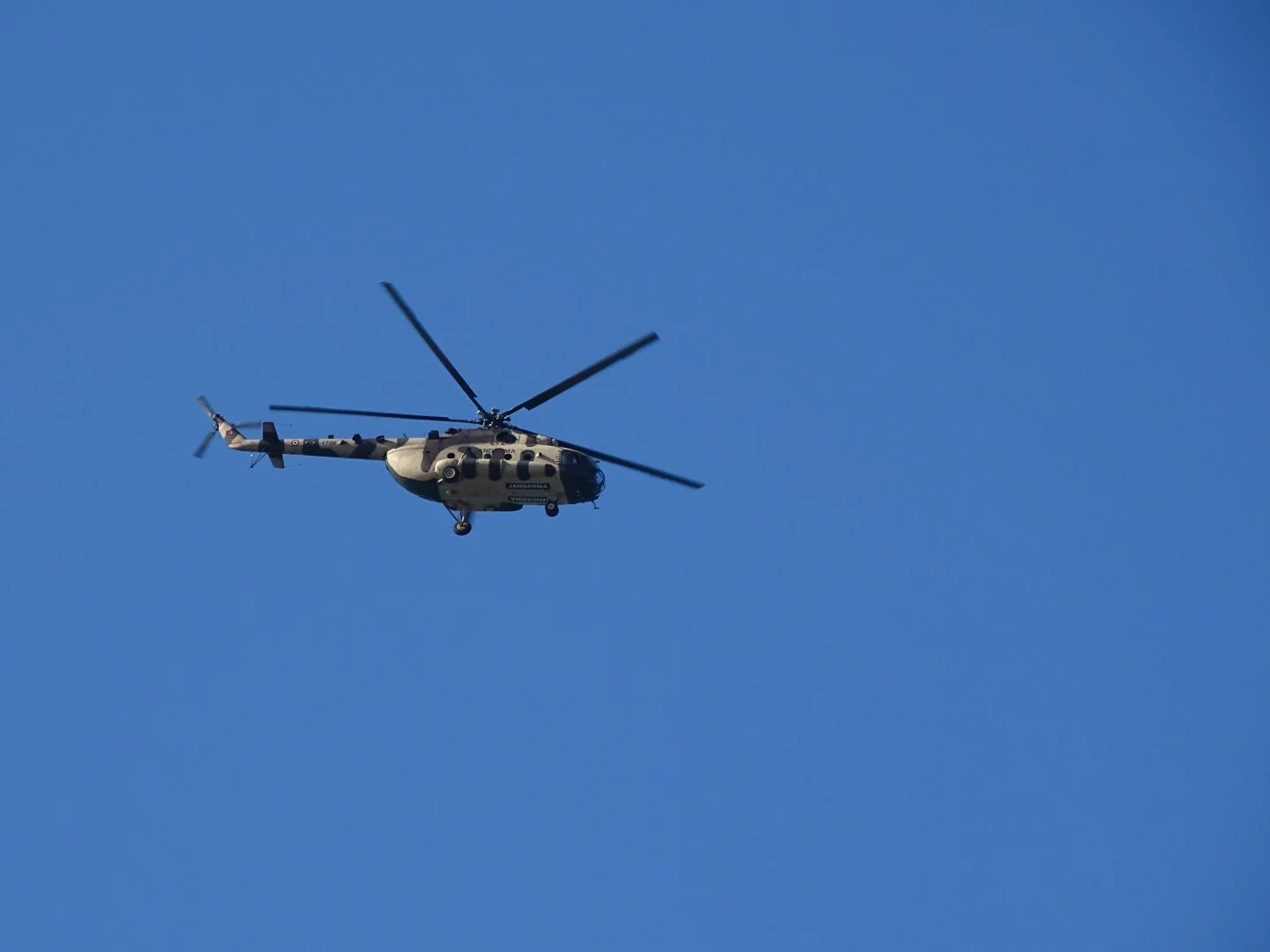 DSC00838.webp