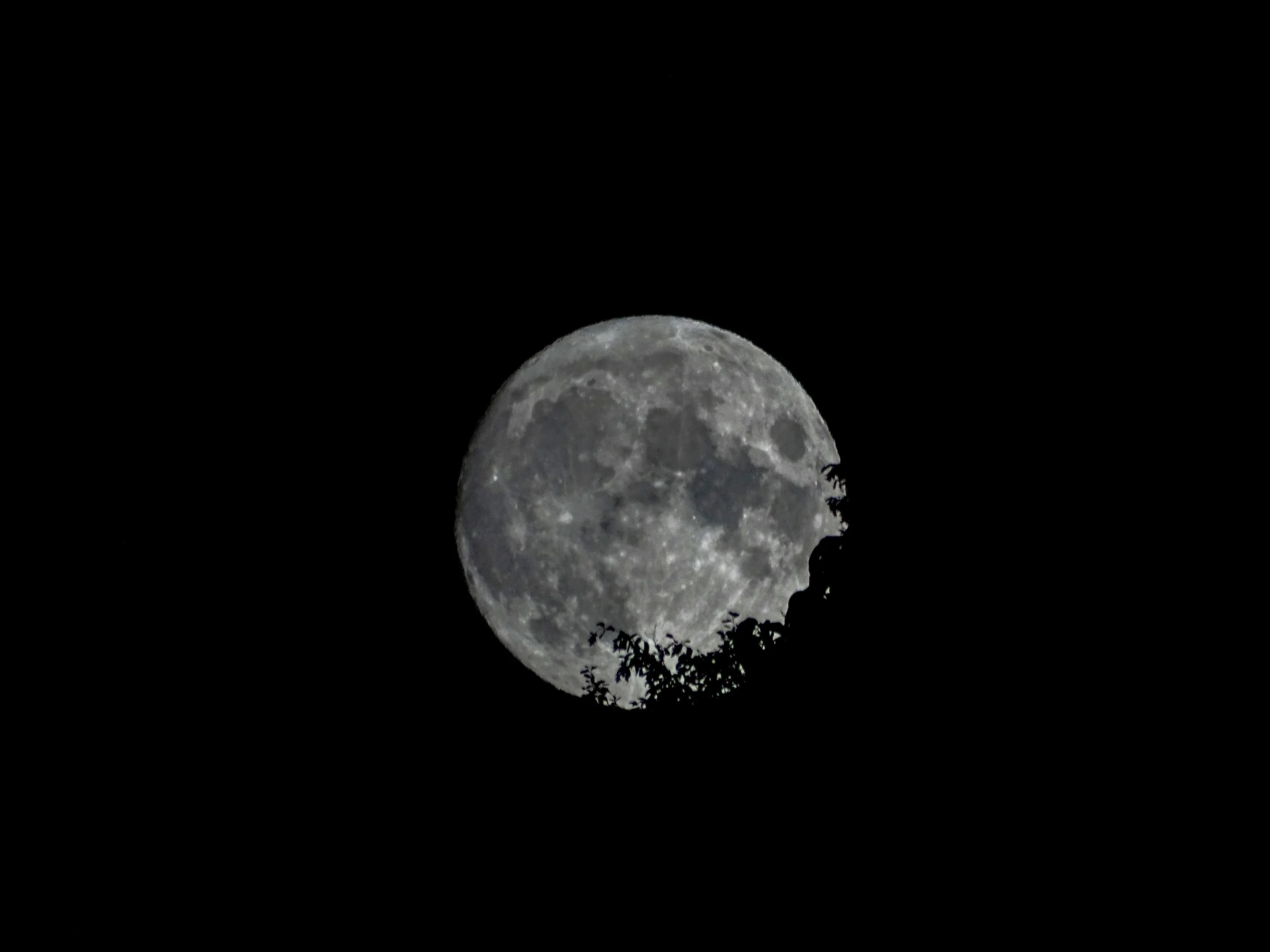 DSC00927-2.webp