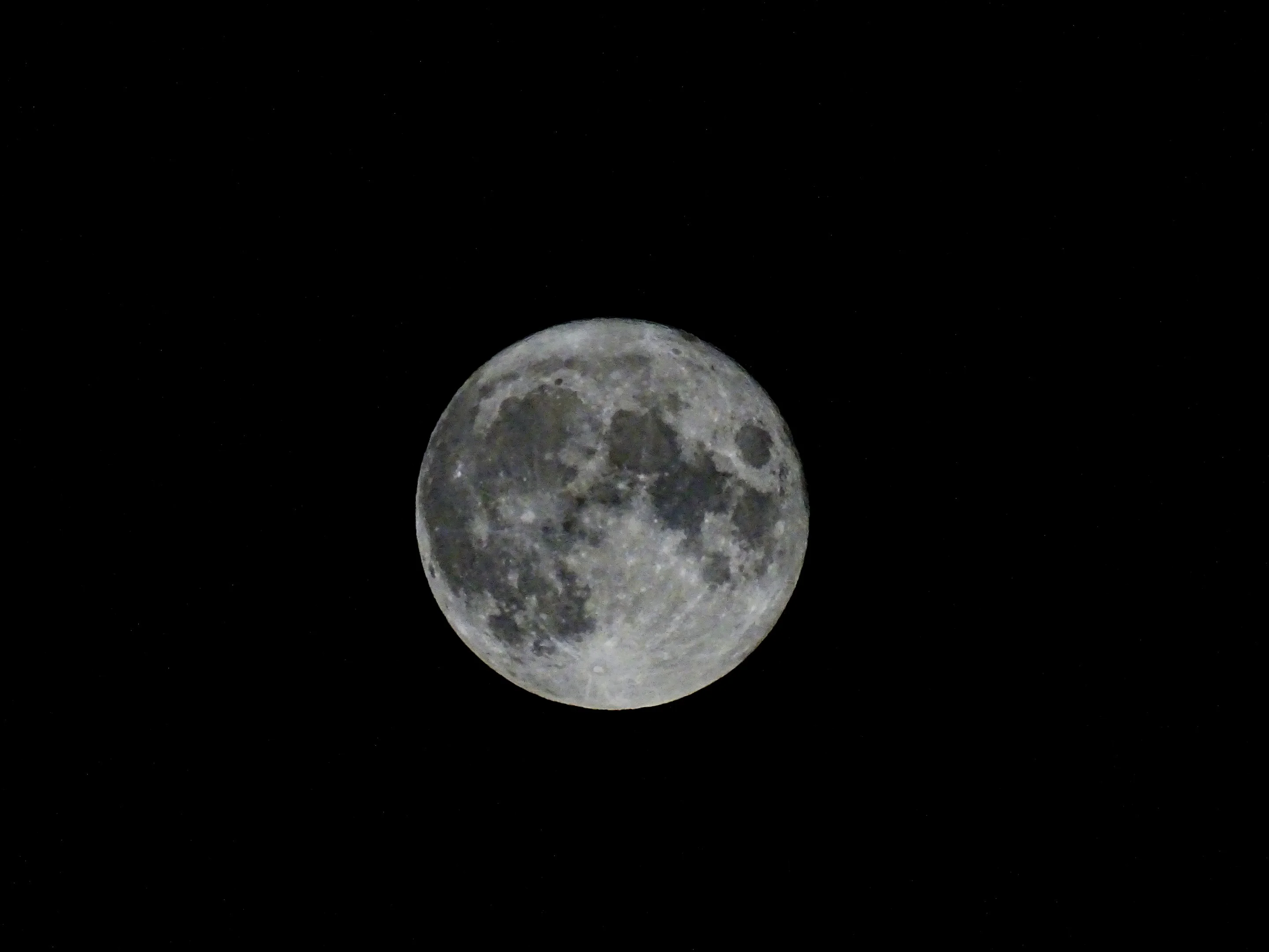 DSC01001-2.webp