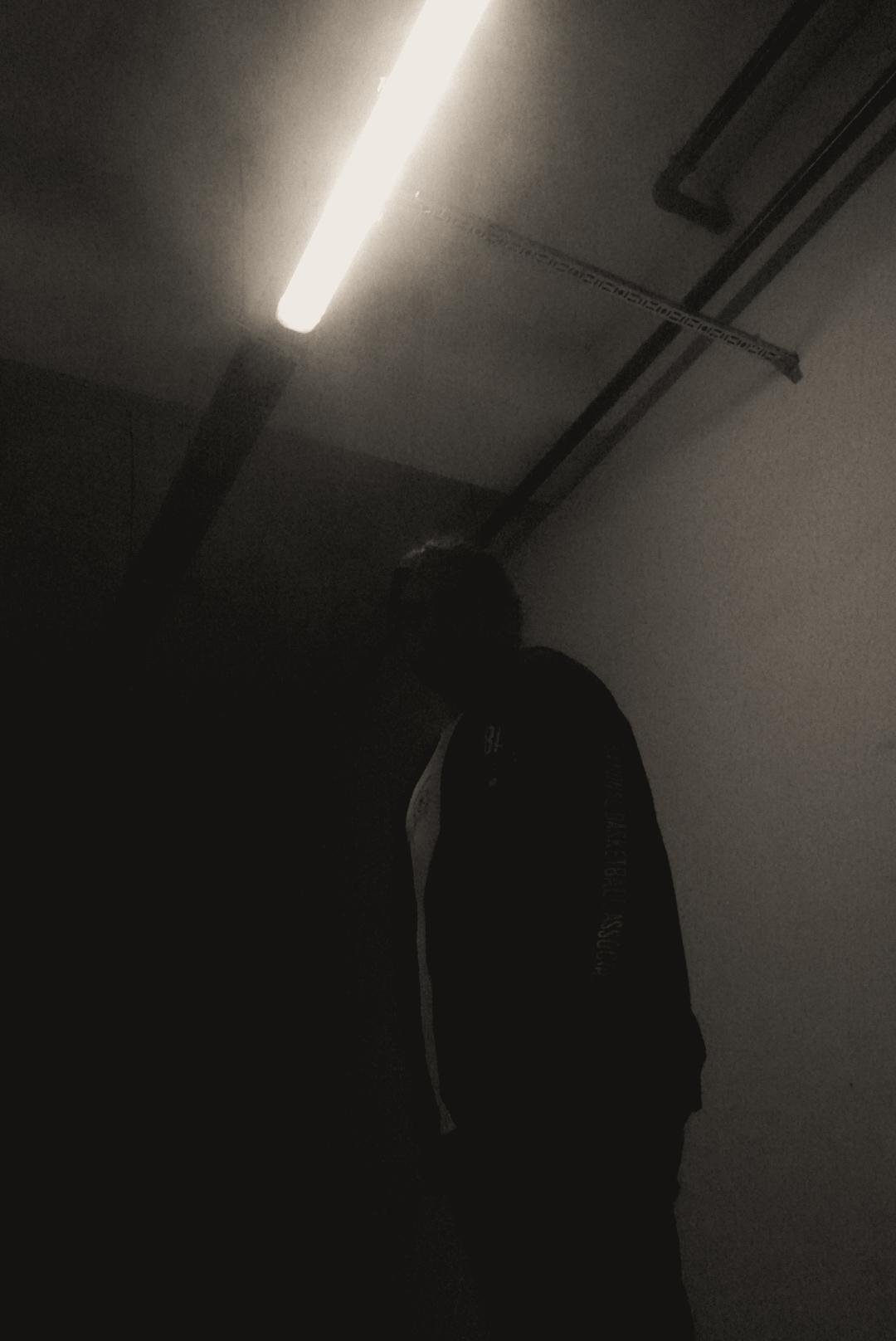 DSC01724.webp