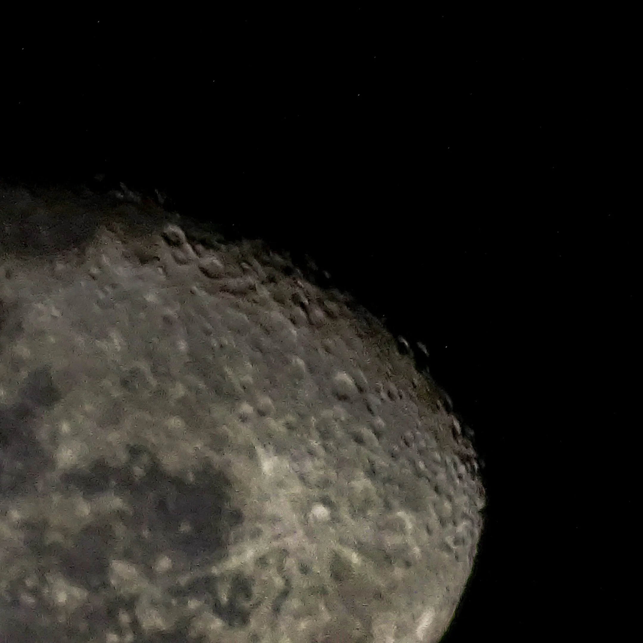 DSC01780-5.webp