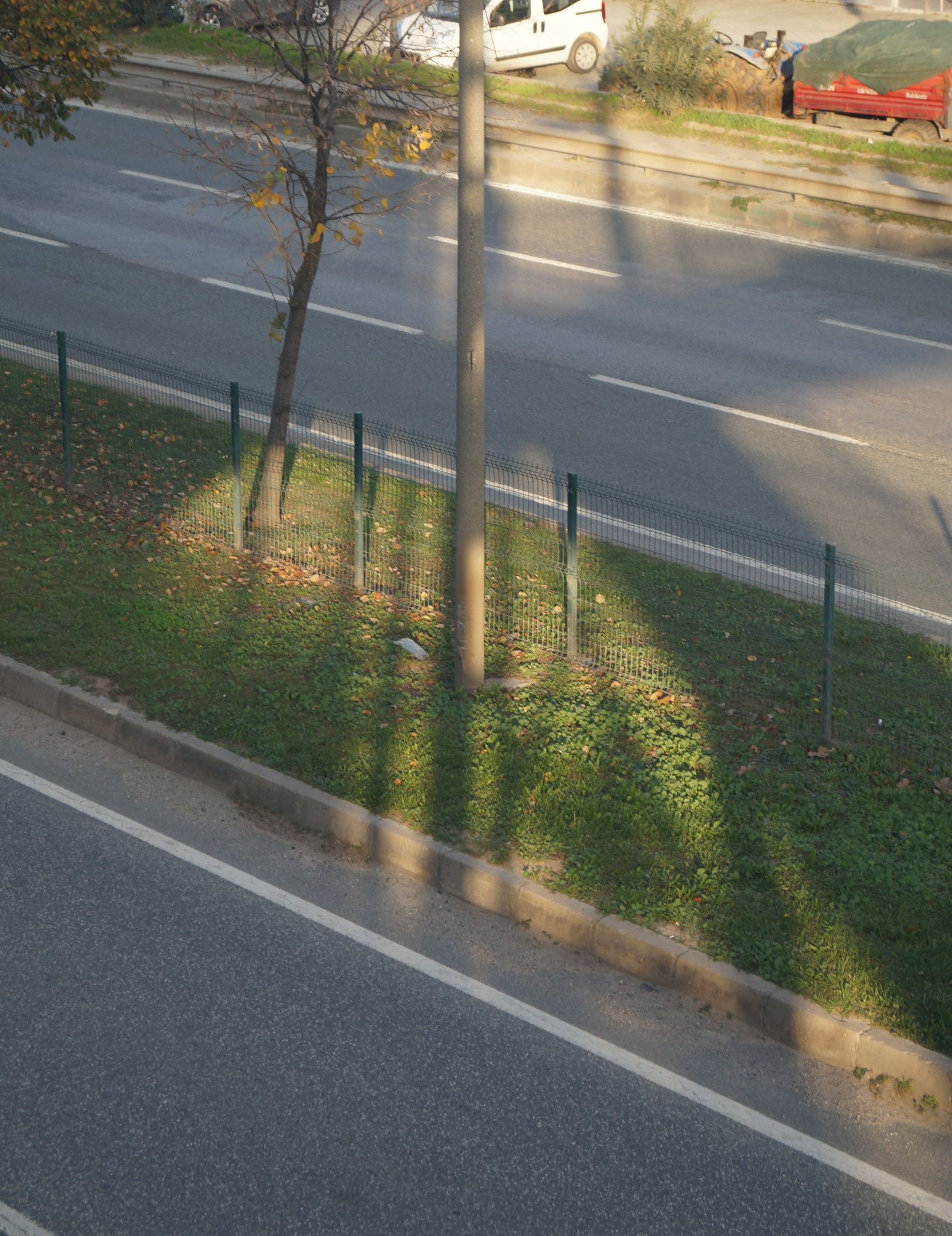 DSC05399.webp