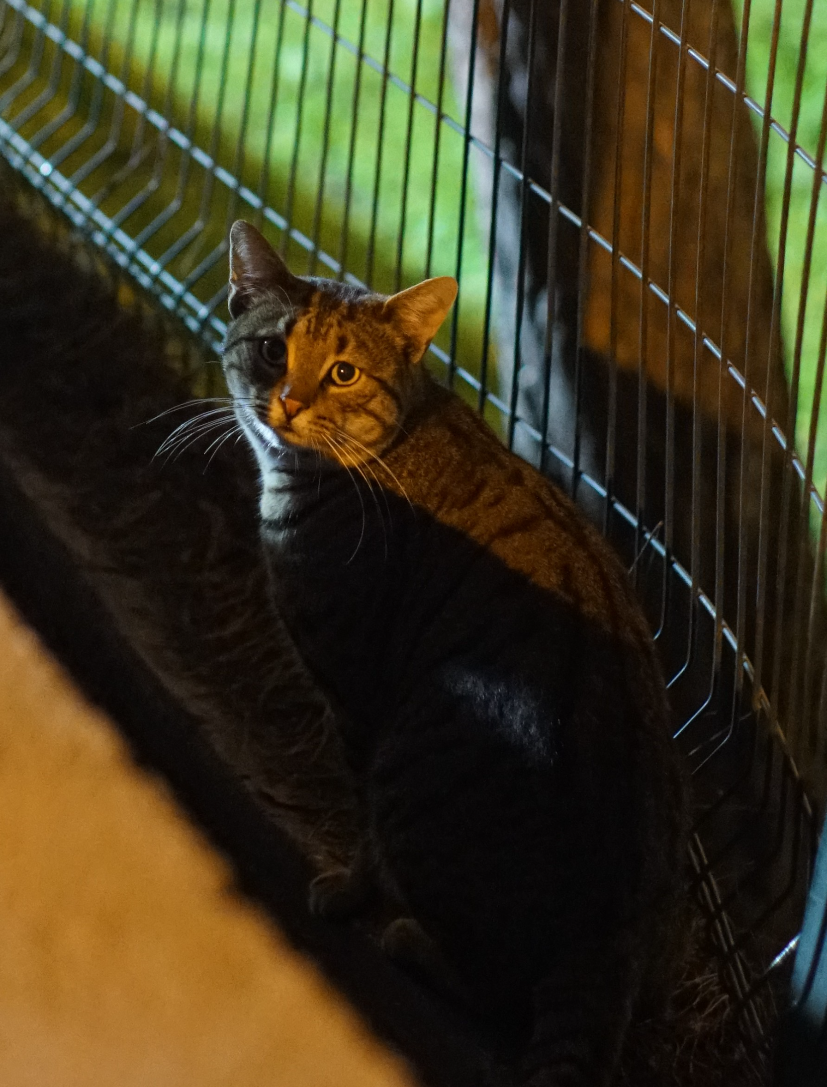 DSC063181.webp