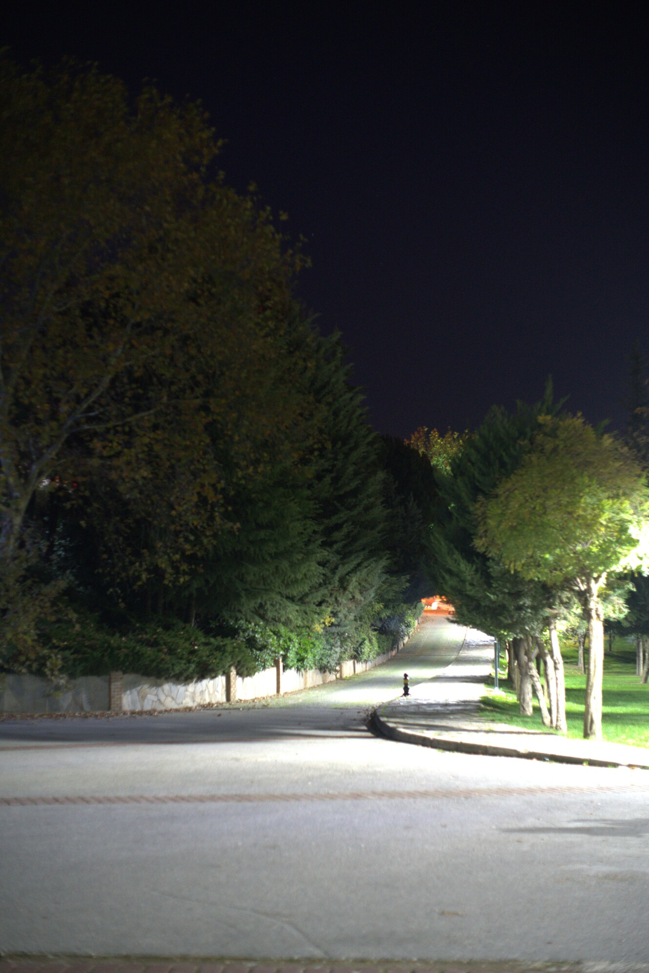 DSC06350qsqsqsq.webp