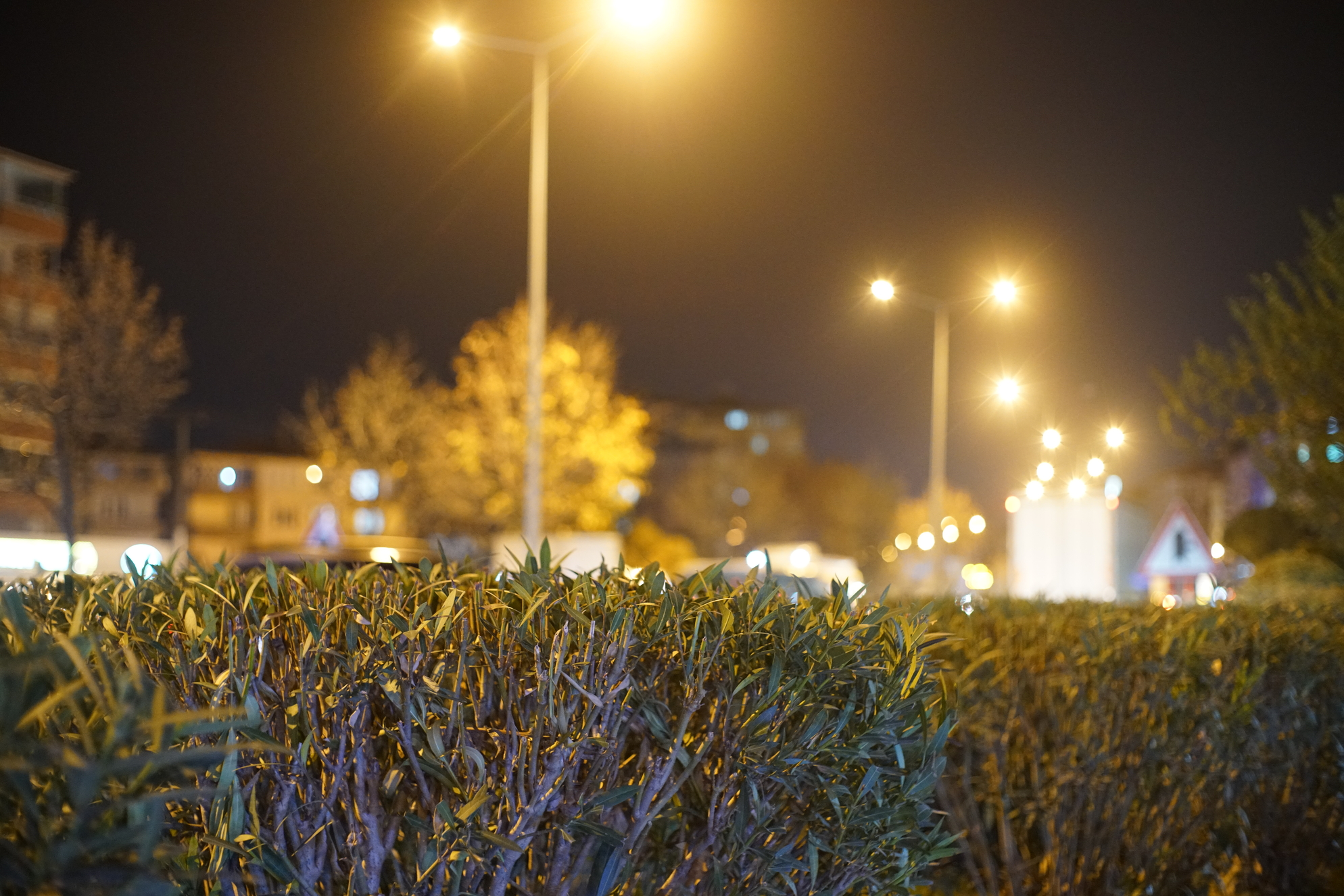 DSC06391.webp