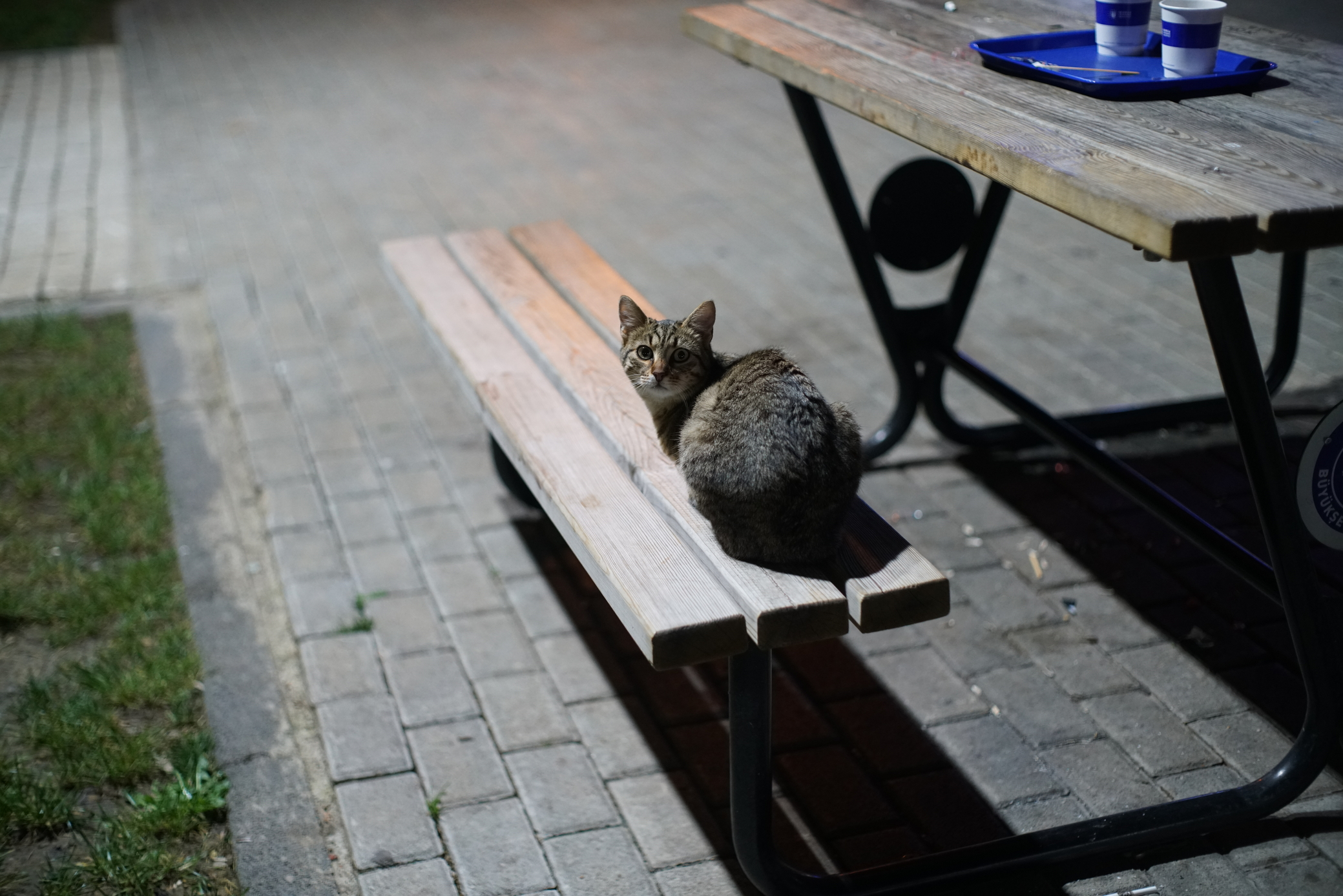 DSC06396.webp