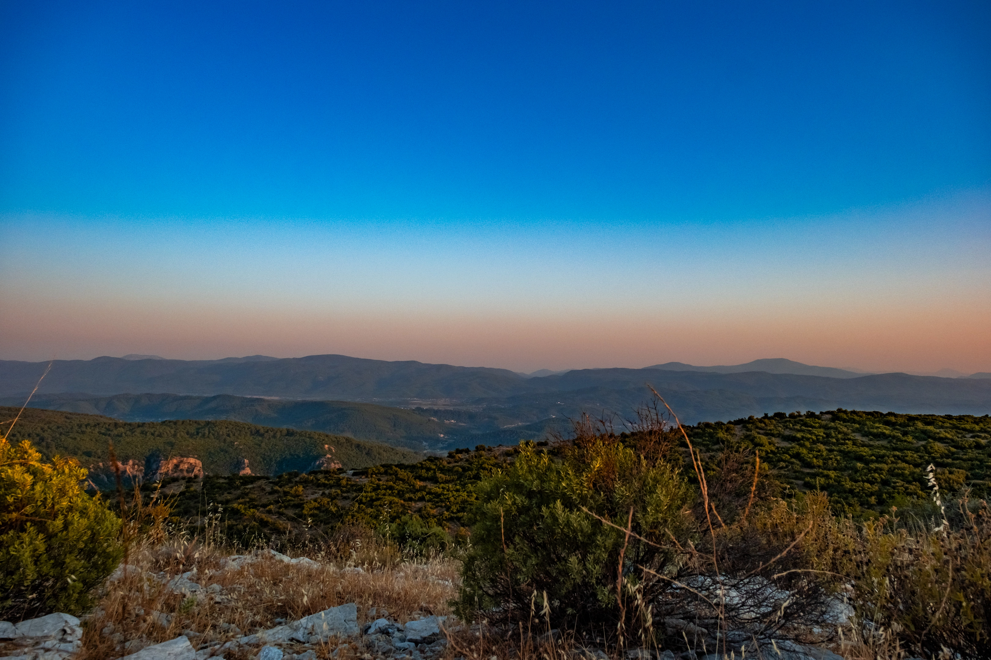 DSCF0318 (1).webp