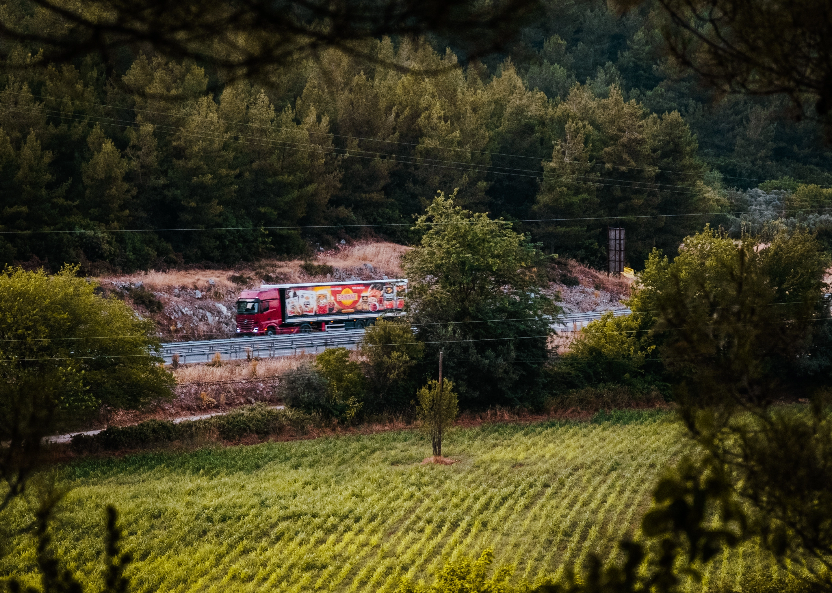 DSCF0337 (2).webp