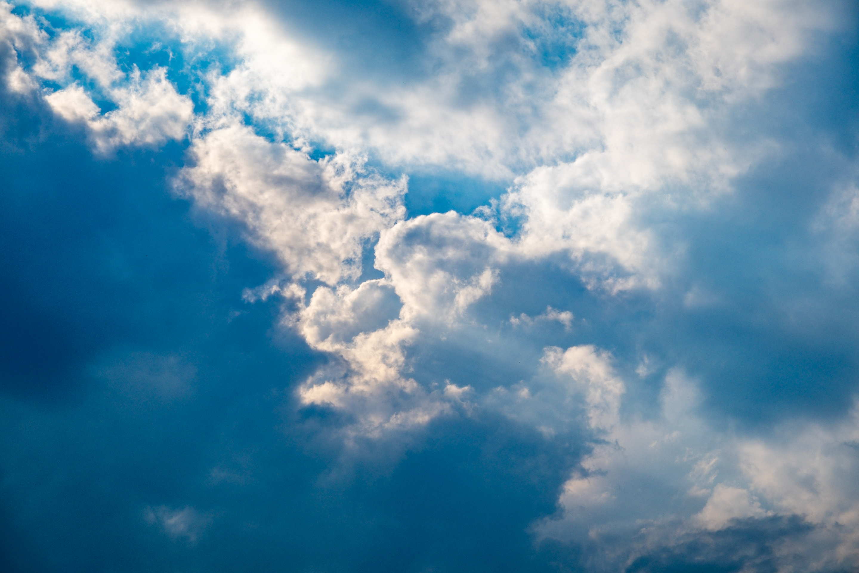 DSCF2103.webp