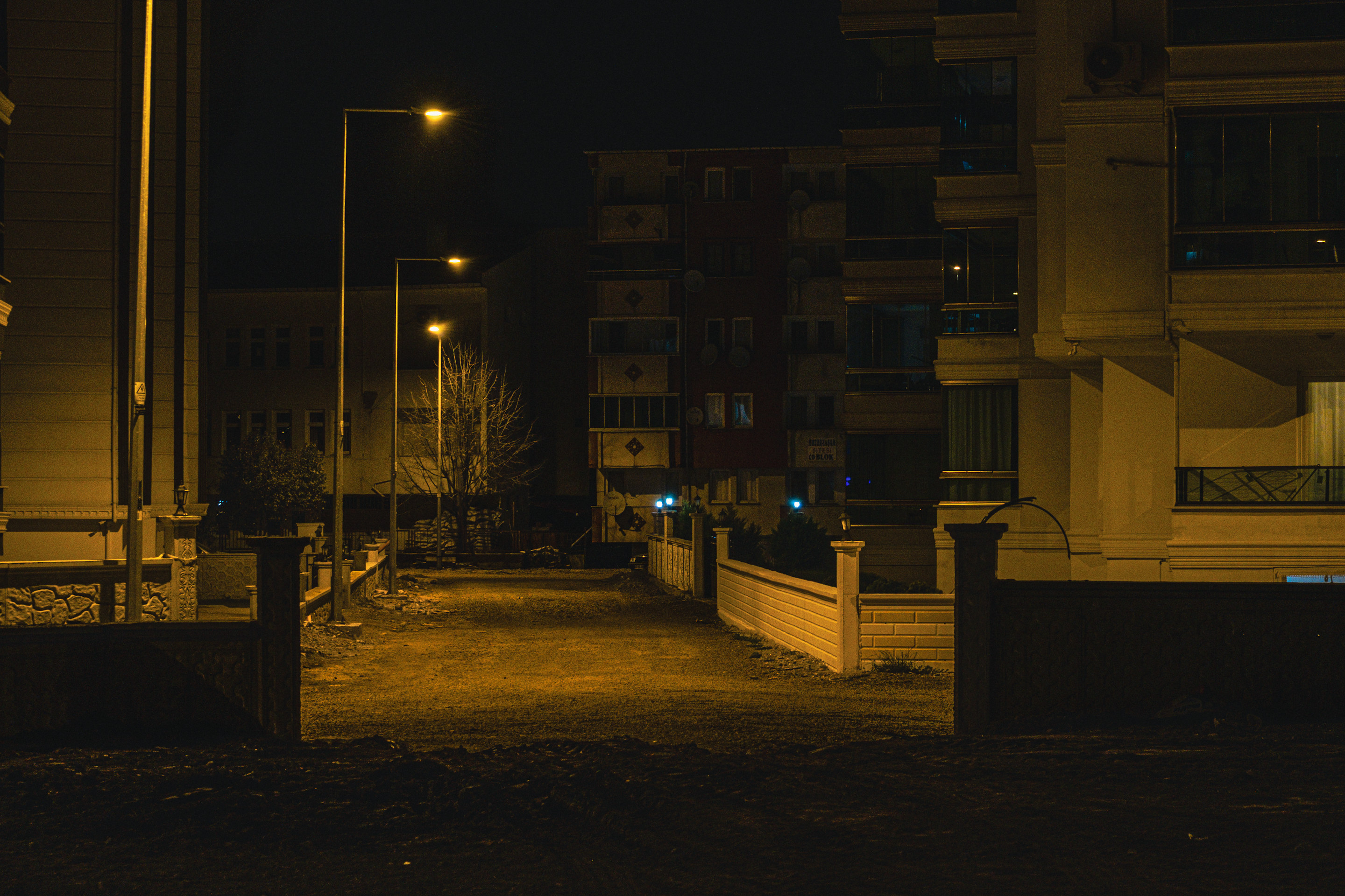 DSCF3895.webp