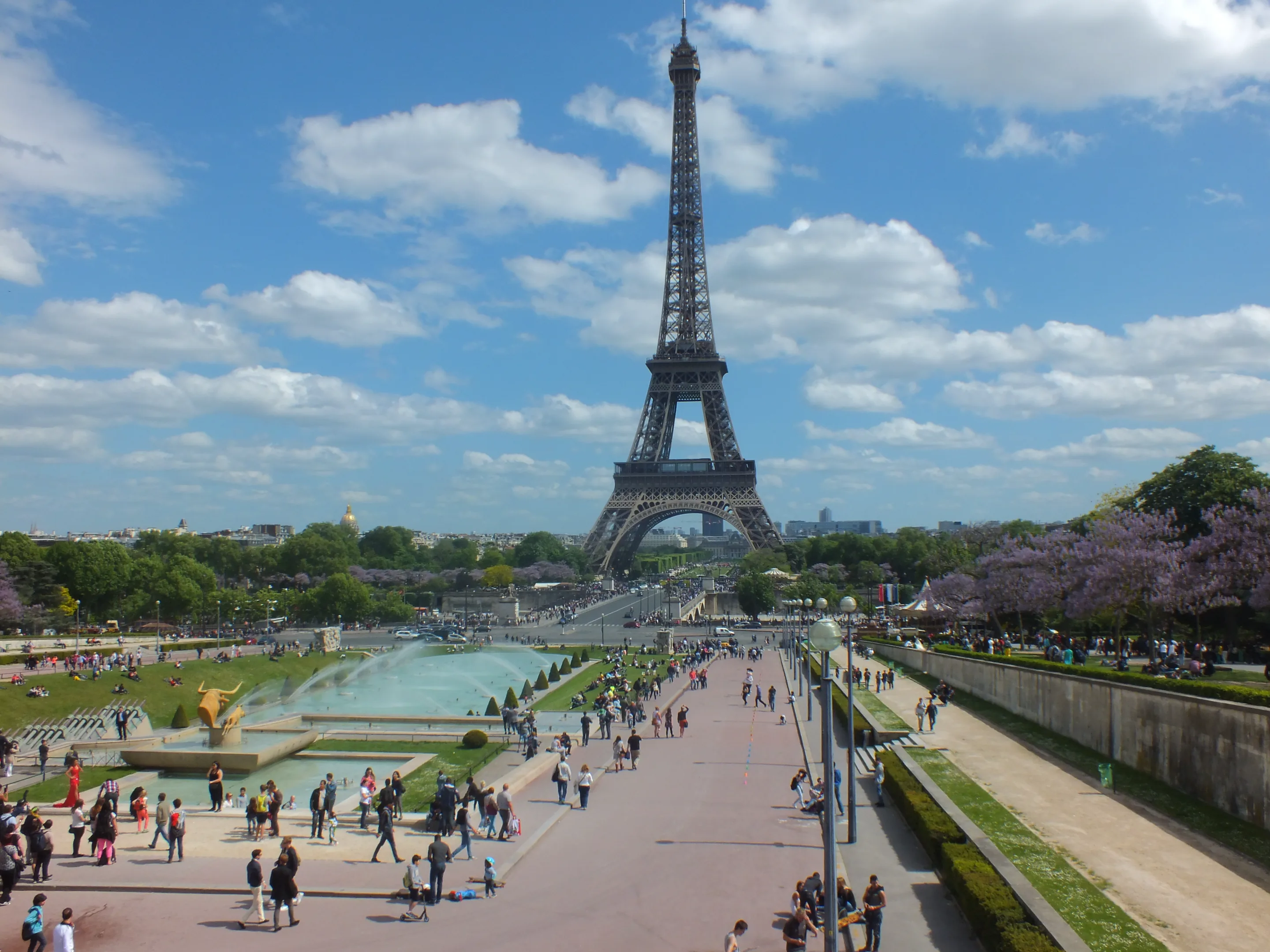 DSCF6205.webp