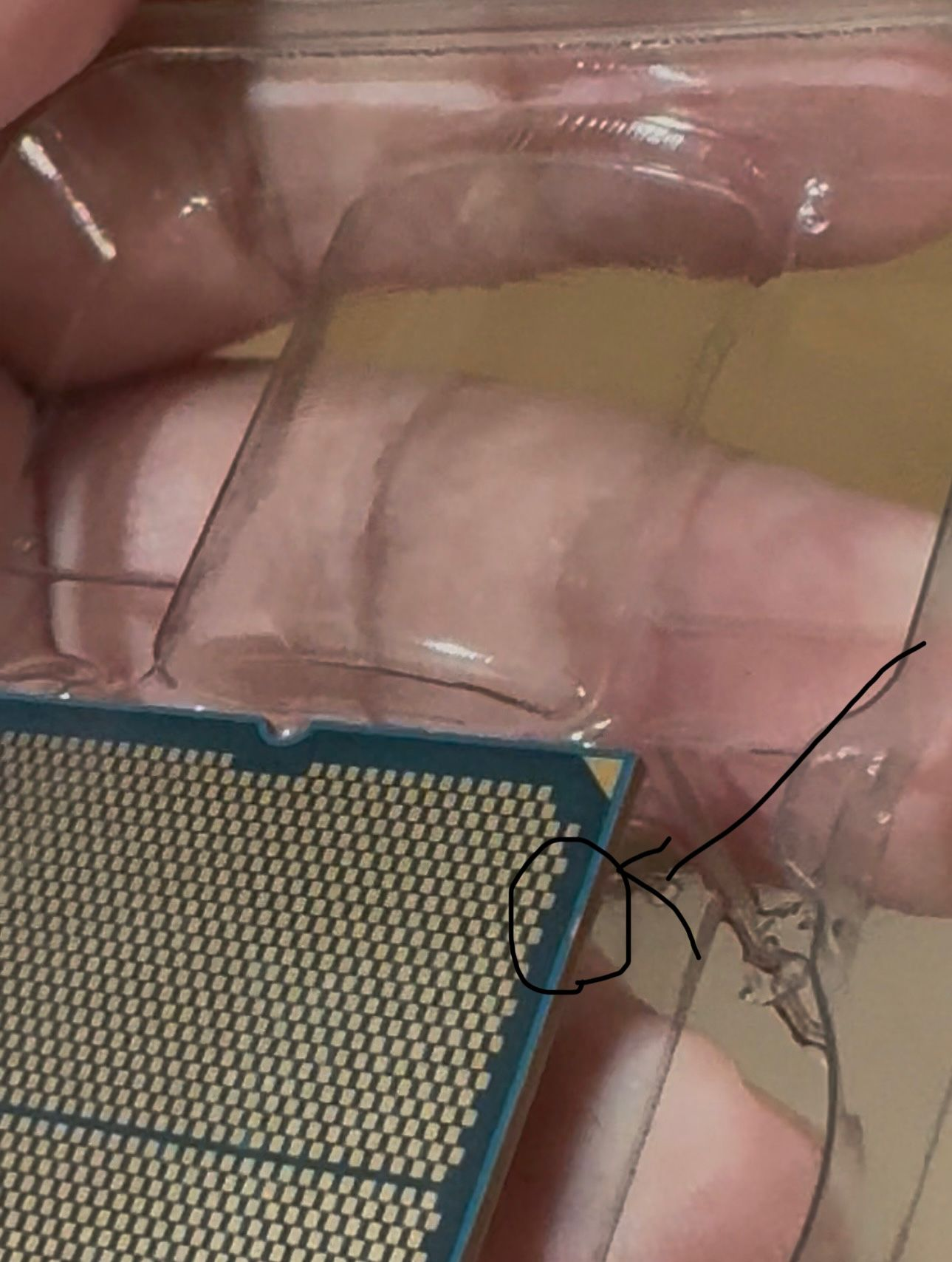 e4e371c3-c612-4ec2-b545-bf890a3e0903.webp