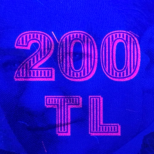 E9+T8+200+TL+UV+portre+arkasi.webp