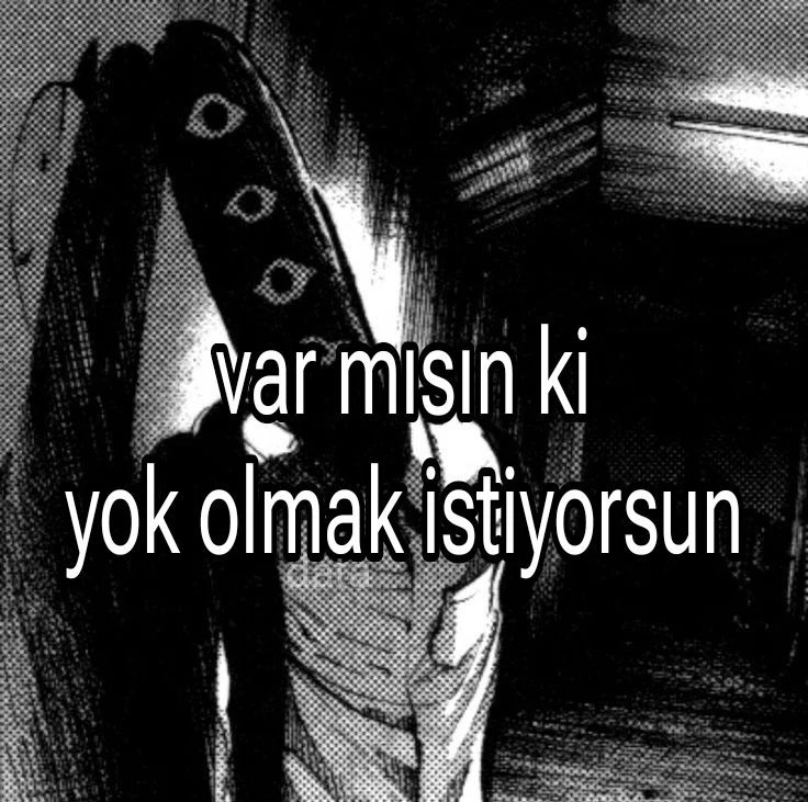 ece6483c2058a84fa58b332ea548cbe3.webp