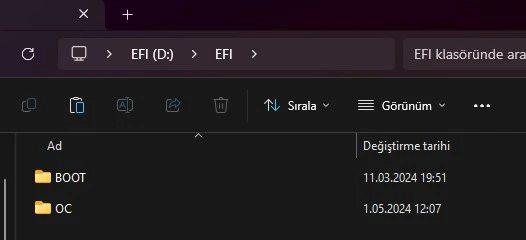 efi2.webp