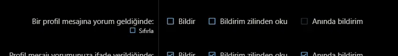 Ekran görüntüsü 2024-01-31 133119.webp