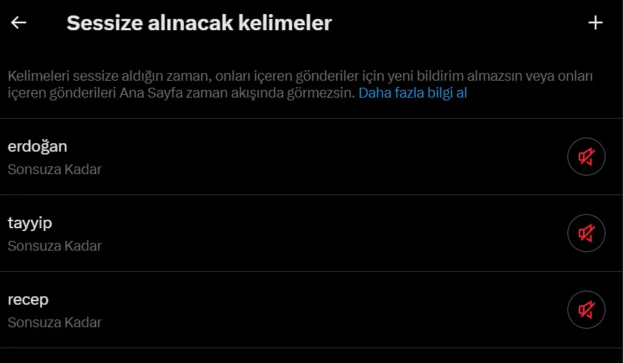 Ekran görüntüsü 2024-04-06 040642.webp