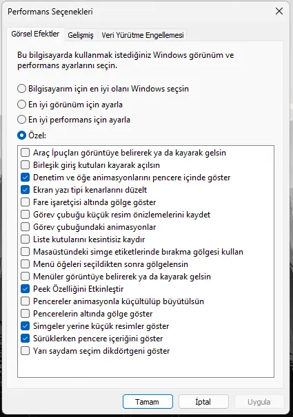 Ekran görüntüsü 2024-05-28 164038.webp