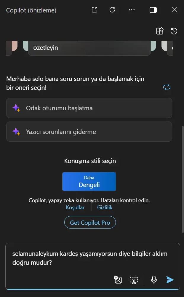 Ekran görüntüsü 2024-06-04 190212.webp