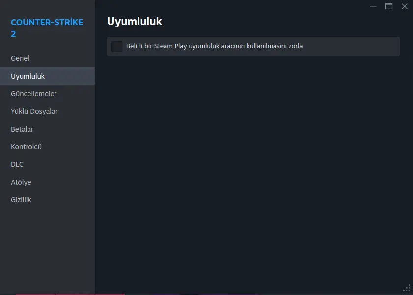 Ekran Görüntüsü - 2024-06-16 13-35-02.webp
