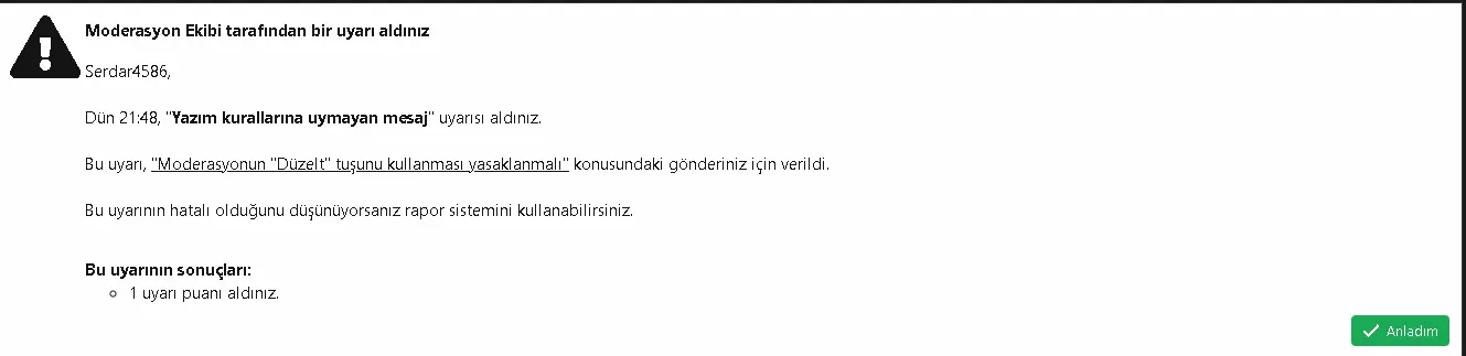 Ekran görüntüsü 2024-06-20 024015.png