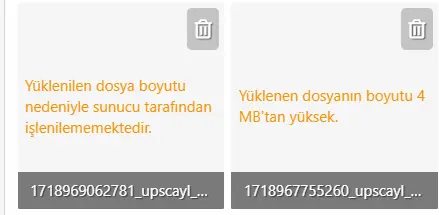 Ekran görüntüsü 2024-06-21 144502.webp