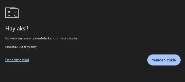 Ekran görüntüsü 2024-12-03 123248.webp