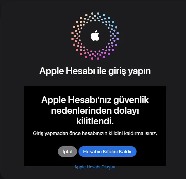 Ekran görüntüsü 2024-12-07 121852.webp
