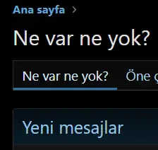 Ekran görüntüsü 2025-01-16 212038.webp