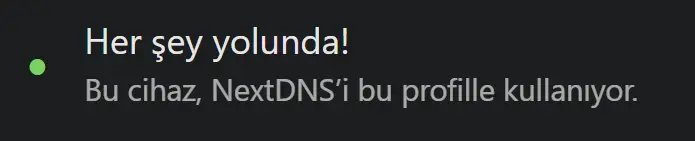 Ekran görüntüsü 2025-03-16 160542.webp