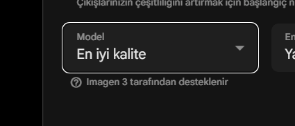 Ekran görüntüsü 2025-06-11 230212.webp