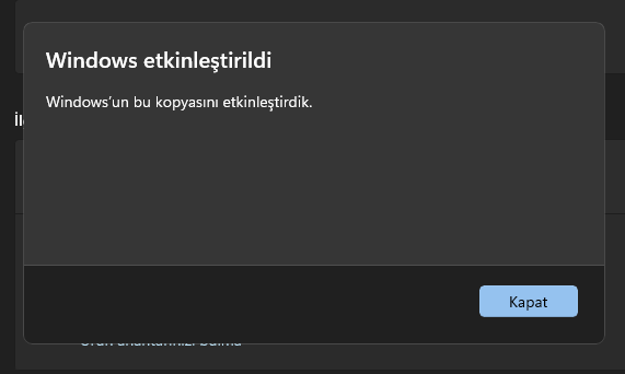Ekran görüntüsü 2026-06-29 211415.webp