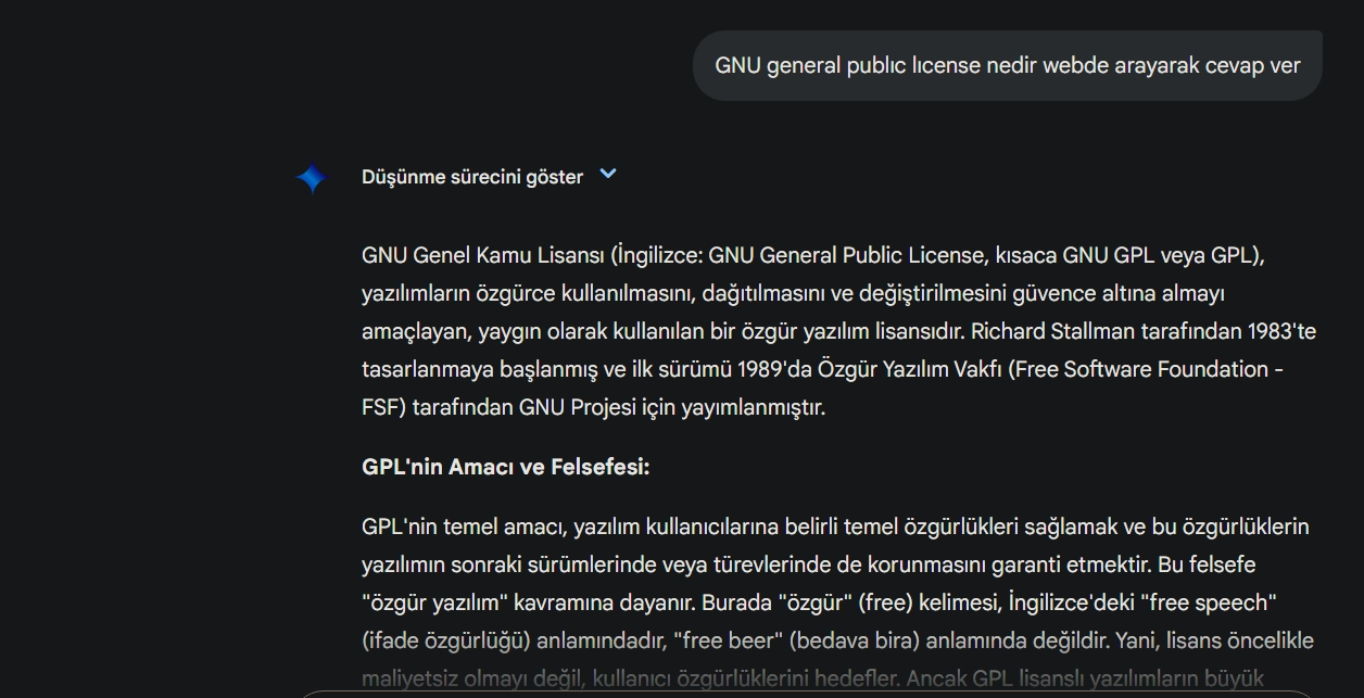 Ekran görüntüsü_9-4-2025_1026_gemini.google.com.webp
