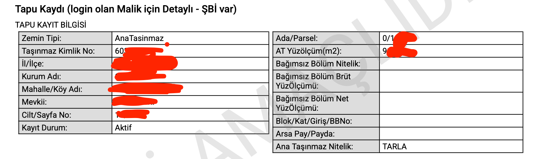 Ekran Resmi 2026-02-19 18.34.08.webp