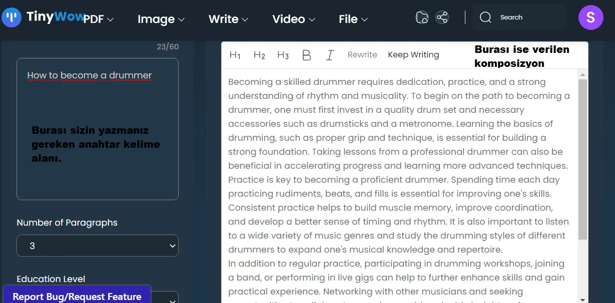 essay.webp