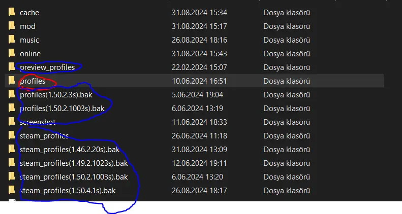 ets 2 dosyala.webp